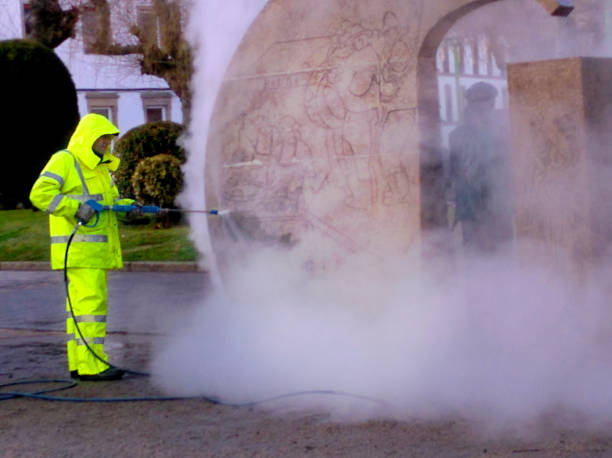 Best Roof Power Washing Services  in Flomaton, AL