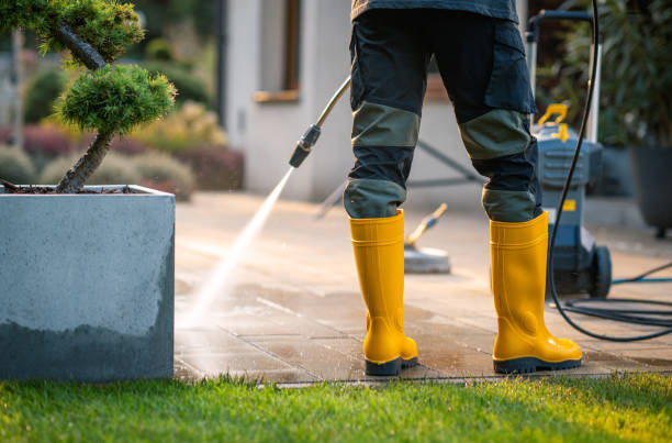 Best Roof Pressure Washing  in Flomaton, AL